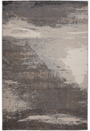 Covor Fanci I290A - Grey Vison